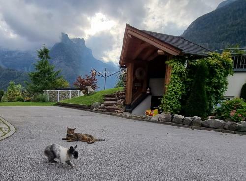 Apartamento Hilltop Appartement