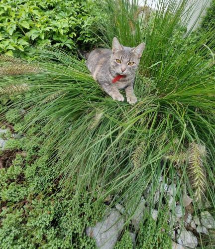 Apartamento Hilltop Appartement