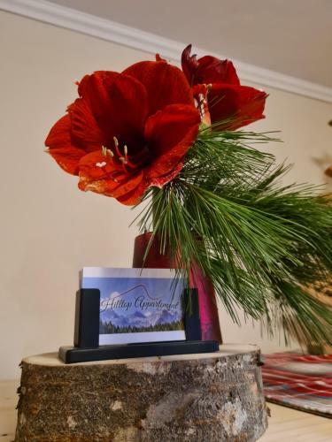 Apartamento Hilltop Appartement