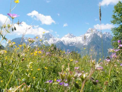 Hostal Pension Sonneck