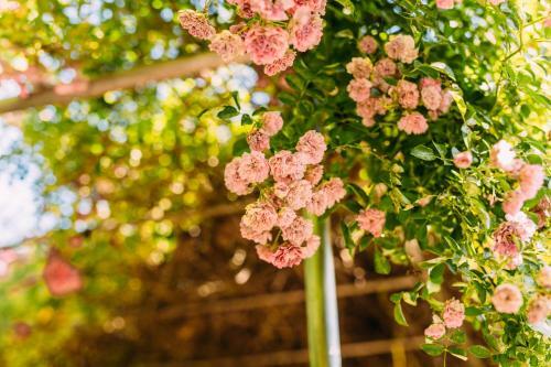 Agroturismo Wolfsj�gerhof