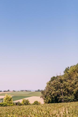 Agroturismo Wolfsj�gerhof