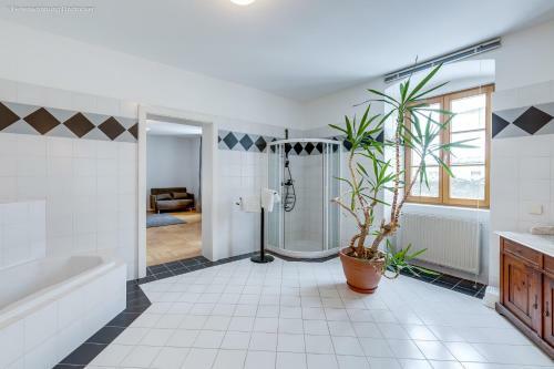 Apartamento Ferienwohnung Mariazell