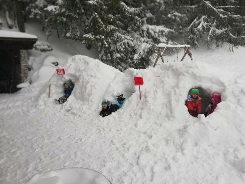 Apartamento Alpenhaus Ganser-dixit