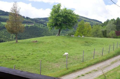 Apartamento Ferienwohnung Luckyranch