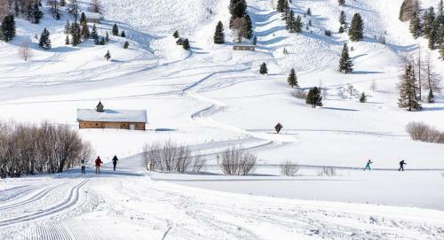 Bergchalet Am Tonim�rtlhof