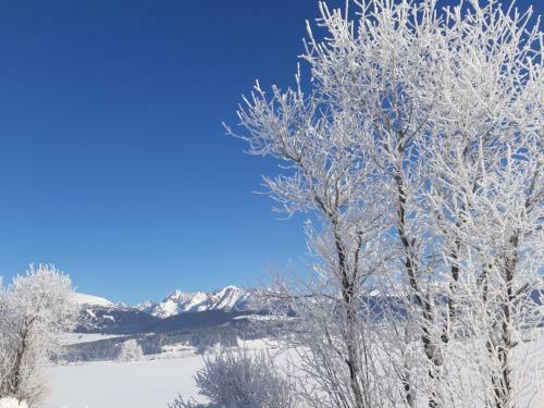 Apartamento Haus Unterm�hle