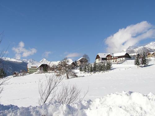 Apartamento Landhaus Pichler