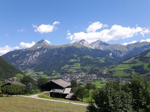 Apartamento Ferienwohnung Gassenhof