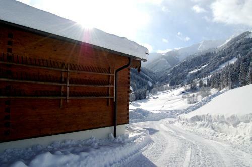 Apartamento Hinterjetzbachhof