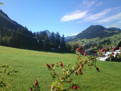 Agroturismo Schusterhof