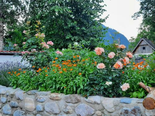 Apartamento Ferienhaus Spitzenhof