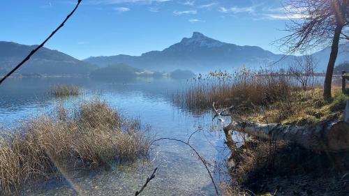 Apartamento Am Seepark