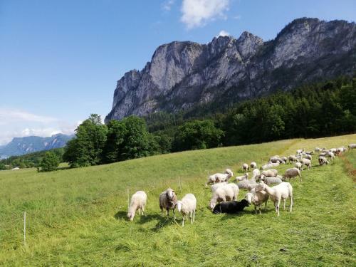 Apartamento Am Mondseeblick