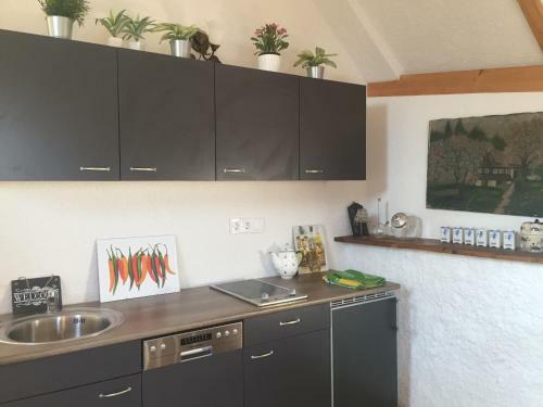 Apartamento Haus Diogenes