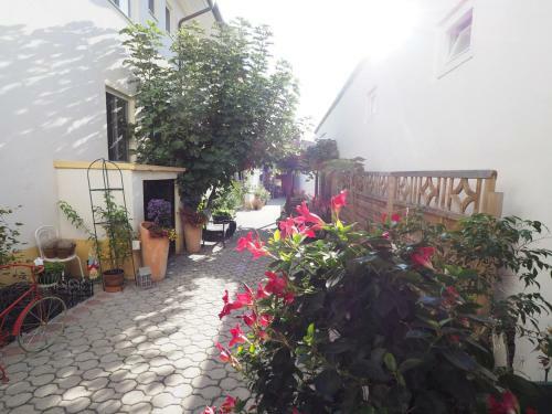 Hostal Laubenhof