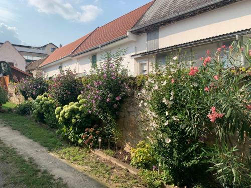 Apartamento Ferienwohnungen Zum Briefmarkenhaus