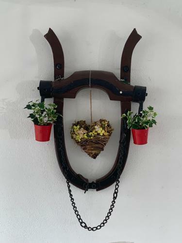 Apartamento Ferienwohnungen Zum Briefmarkenhaus
