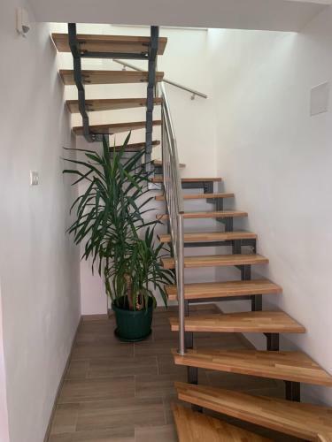 Apartamento Ferienwohnungen Zum Briefmarkenhaus