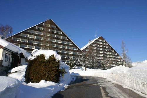 Apartment Bad Mitterndorf/steiermark 432
