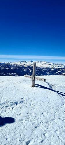 Apartamento Ferienwohnungen Bergpanorama