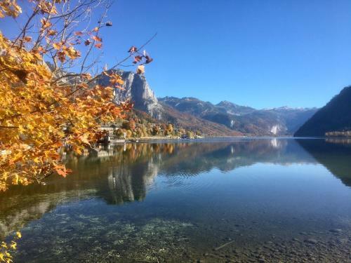 Apartamento Ferienwohnungen Bergpanorama