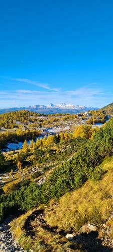 Apartamento Ferienwohnungen Bergpanorama