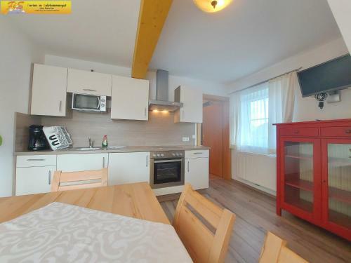 Apartamento Haus Sandlweber By Fis - Fun In Styria
