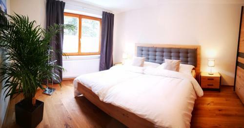 Apartamentos Ferienwohnungen Bergfeeling