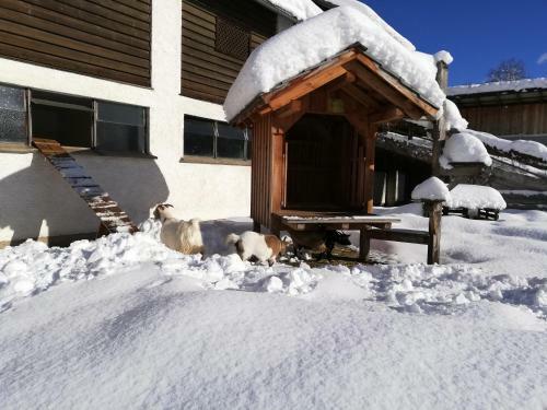 Apartamento Zweim�derlhaus
