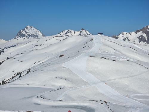 Apartamento Golf & Ski Appartements Mittersill Trausmuth Monika