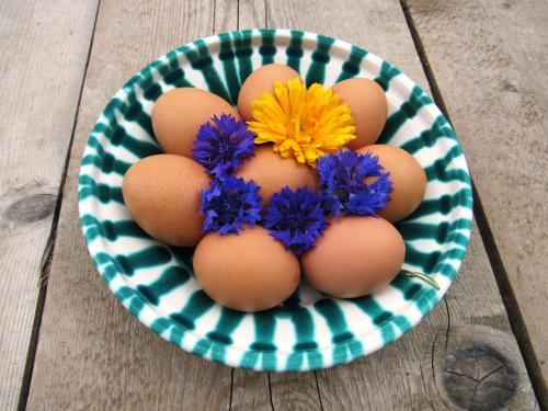 Apartamento Bio Bauernhof Brandgut