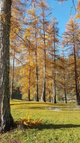 Apartamento Chalet Am See