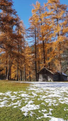 Apartamento Chalet Am See