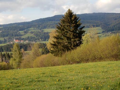 Ferienhaus Grohs