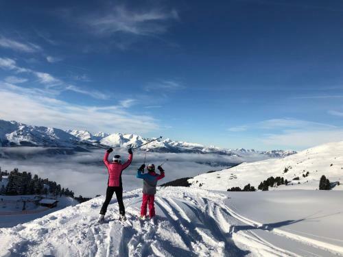 Platzhirsch Apart & Mayrhofen