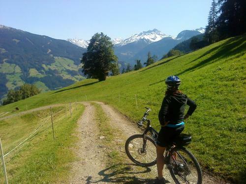 Platzhirsch Apart & Mayrhofen