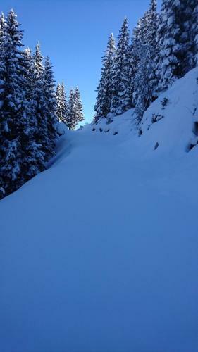 Apartamento Appartements Rieser