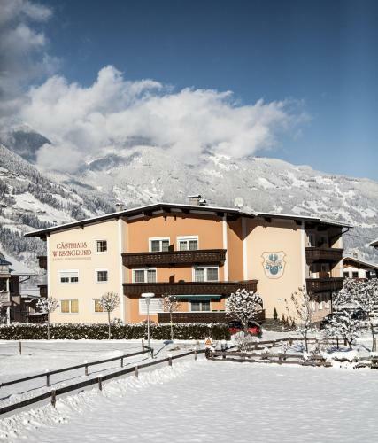 Apart Wiesengrund