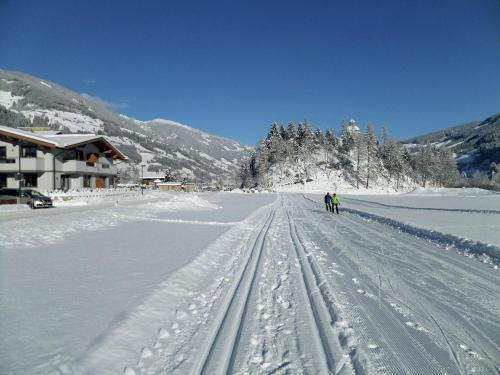 Spacious Apartment Near Ski Area In Mayrhofen