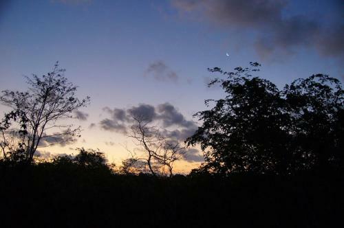Peacefulnest Tulum
