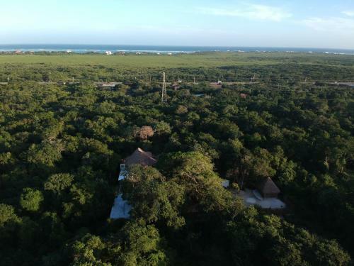 Tulum Nueve