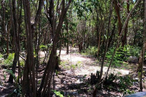 Tulum Nueve