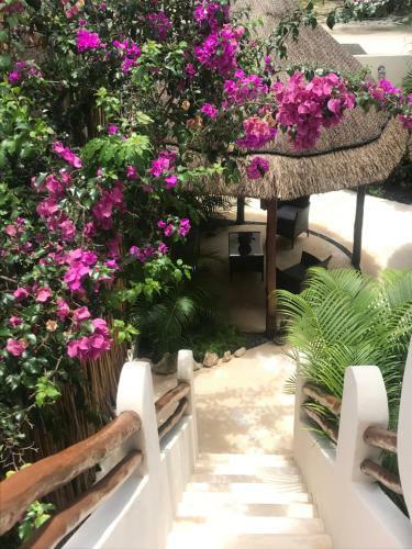 Tua Tulum Apartments
