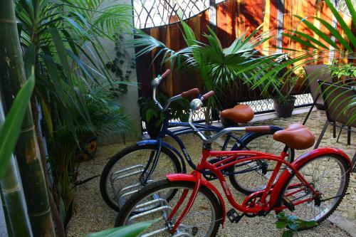 Las Mariposas Boutique Bed And Breakfast
