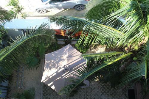Las Mariposas Boutique Bed And Breakfast