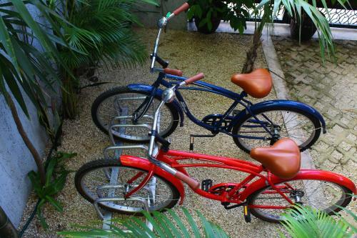 Las Mariposas Boutique Bed And Breakfast
