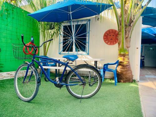 Apartamento Casa Azul Very Local Experience