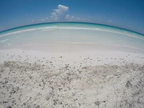 Zama Village In Beautiful Aldea Zama #tulum