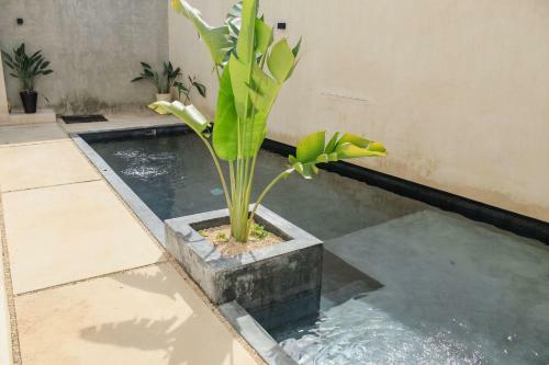 Beautiful And Relaxing Apartment In Tulum 50 Mgb